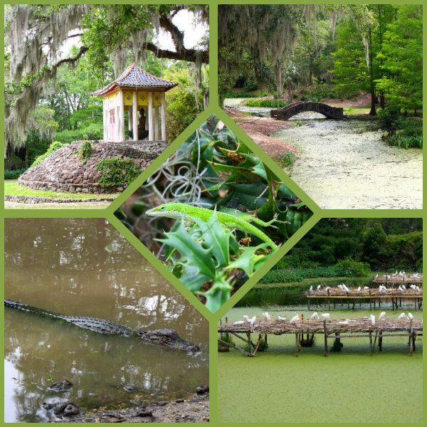 Avery Island, Louisiana... home of Tabasco Sauce..