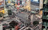 Shibuya Crossing