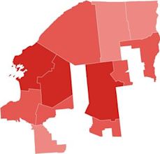 2008 United States House of Representatives elections in New York