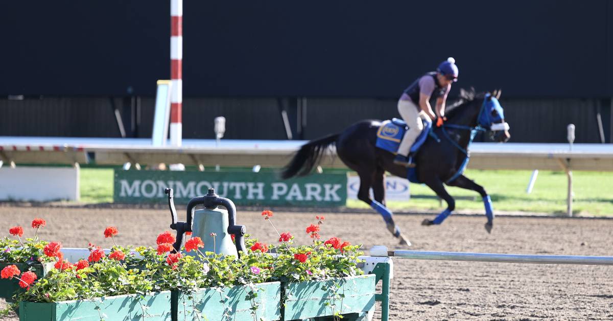 Weekend Lineup Presented By Monmouth Park: Watching And Waiting