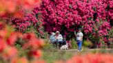 UK sees warmest May – and spring – on record, Met Office figures show