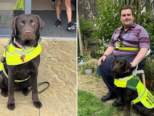 Blind man 'feels like scum' after being illegally refused taxis due to guide dog