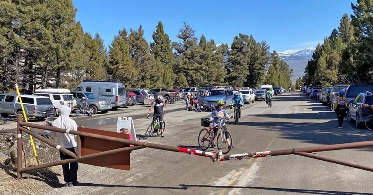 Traditional cyclists encounter new Yellowstone travel companions