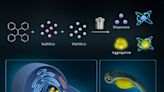 Scientists develop novel aggregation-induced emission carbon dots for bioimaging