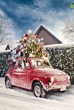 7 Christmas Car Decorations from around the world people actually use ...