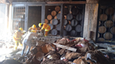 Six killed in Becle Casa Cuervo Tequila distillery tank explosion