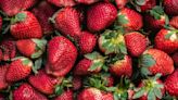 The Crucial Health Reason Behind Why You Shouldn’t Throw Out Strawberry Leaves