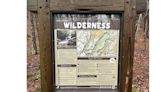 Explore TRV's Wilderness Wellness Connections: Nature's Serenity as a Remedy for Restoration