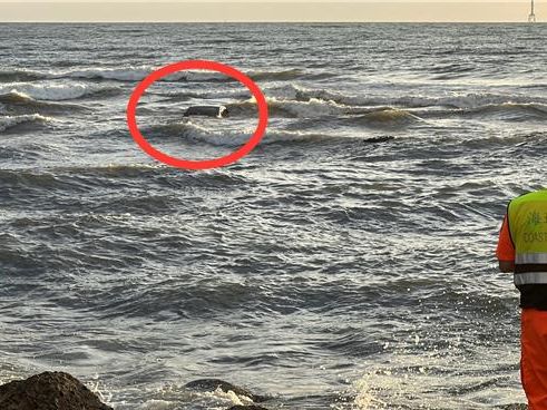 苗栗後龍水尾沙灘看海 車輛受困！男子慘遭浪捲失蹤 - 社會