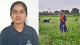 Telangana CM helps tribal girl, forced to herd goats despite securing IIT seat - The Shillong Times