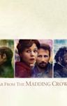 Far from the Madding Crowd (2015 film)