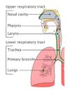 Respiratory tract infection