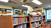 New Mexico lawmakers pass on full funding for rural libraries