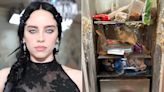 Billie Eilish Shows Off Mess in Her Fridge, Says She 'Literally Couldn't Be More Single Right Now'