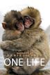 One Life (2011 film)