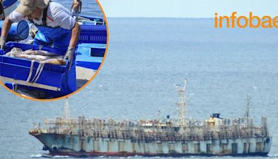 Gobierno de Dina Boluarte permite que casi 700 embarcaciones chinas depreden recursos del mar peruano