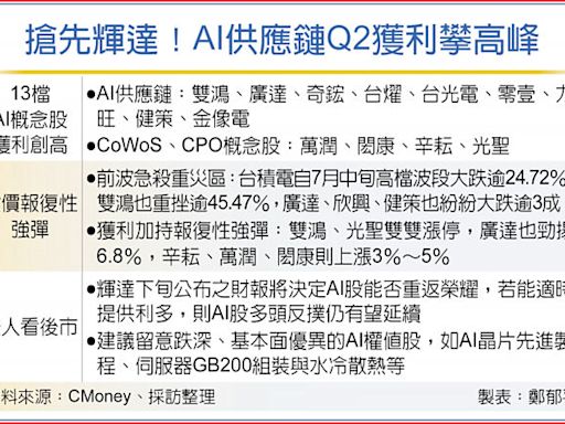 輝達財報出爐前 AI供應鏈Q2獲利先報喜 - 財經要聞