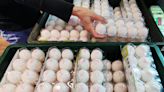 蛋價近2年新低 加速淘汰寡產母雞