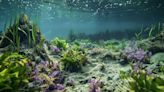 Las primeras criaturas marinas de la Tierra impulsaron la evolución agitando el agua