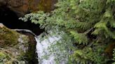 As Thurston County weather warms, here are waterfalls, rivers and saltwater destinations