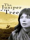 The Juniper Tree