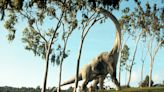 Bigger is better for the world's longest long-necked sauropods