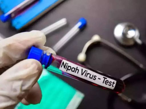 Nipah infection confirmed in 14-year-old boy in Kerala; 214 under observation | Kozhikode News - Times of India