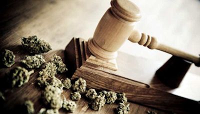 Cannabis businesses subject to federal marijuana laws under rescheduling