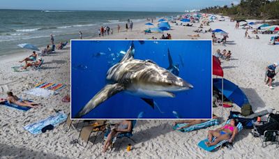 Florida beach vacation hotspot closed after back-to-back shark attacks