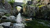 Work to clean up polluted wild swimming spots in jeopardy, campaigners say