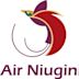 Air Niugini