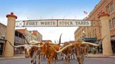 Stockyards cattle drives bring Fort Worth history to life. What goes into being a drover?