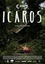 Ícaros