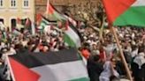 Pro-Palestinian protest in Sweden ahead of Eurovision finale