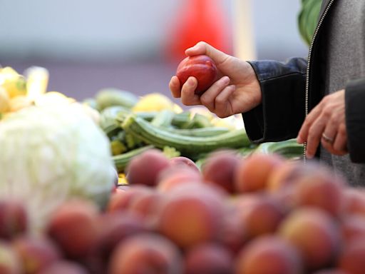 Gov. Sununu approves two-year farm-to-school pilot program