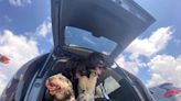 Florida senator scraps plan to ban dogs from sticking heads out of car windows