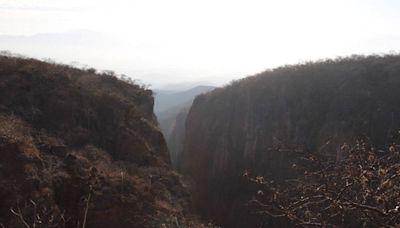 Reserva de la Biosfera Tehuacán cumple seis años como Patrimonio Mundial