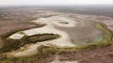 España llega a un acuerdo para poner fin a la disputa sobre el amenazado humedal de Doñana
