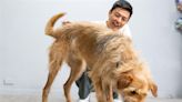P字鏈不能用？台灣第一寵物訓練師說話了 揭虐狗內幕