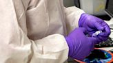 Internal investigators find Colorado Bureau of Investigation forensic scientist tampered with DNA testing