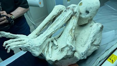 Two 'alien' mummies discovered in Peru tested to 'prove authenticity'