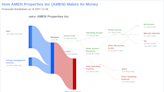 AMEN Properties Inc's Dividend Analysis