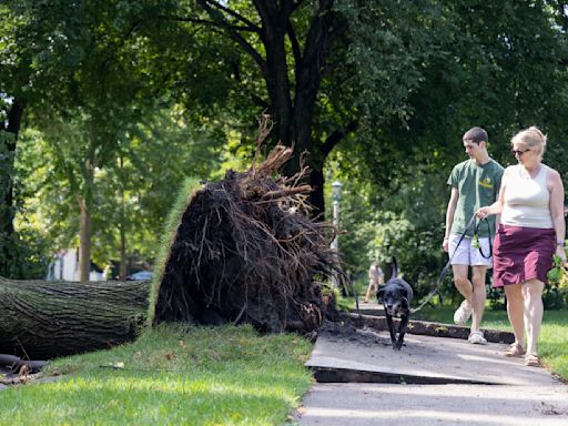 Illinois has already experienced over 100 tornadoes this year, double the annual average