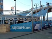 Heal the Bay Aquarium