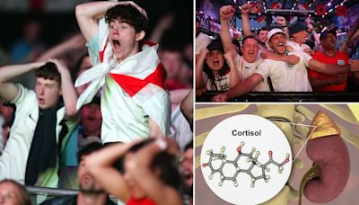 What will happen inside football fans' bodies during England vs Spain