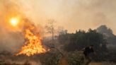 Infernos, black skies and fleeing tourists: Greece wildfires in pictures as blazes ravage Corfu and Rhodes