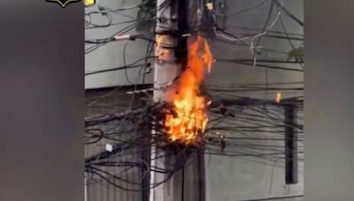 ¡Incendio en cables! Ardilla se electrocuta y causa corto circuito en la Benito Juárez