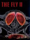 The Fly II