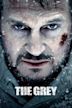 The Grey (film)