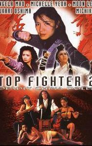 Top Fighter 2